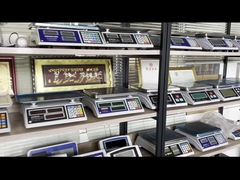 WALL-E أرضية المقياس منصة أرضية الفولاذ المقاوم للصدأ المقياس ثقل الجسر